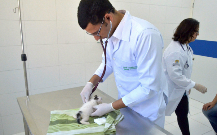 Após o procedimento, o animal recebe alta médica no mesmo dia. Foto: Luciano Ferreira/Arquivo PCR/Divulgação (Após o procedimento, o animal recebe alta médica no mesmo dia. Foto: Luciano Ferreira/Arquivo PCR/Divulgação) Após o procedimento, o animal recebe alta médica no mesmo dia. Foto: Luciano Ferreira/Arquivo PCR/Divulgação (Após o procedimento, o animal recebe alta médica no mesmo dia. Foto: Luciano Ferreira/Arquivo PCR/Divulgação)