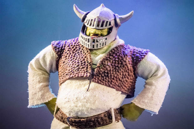 Burro do shrek Conservador