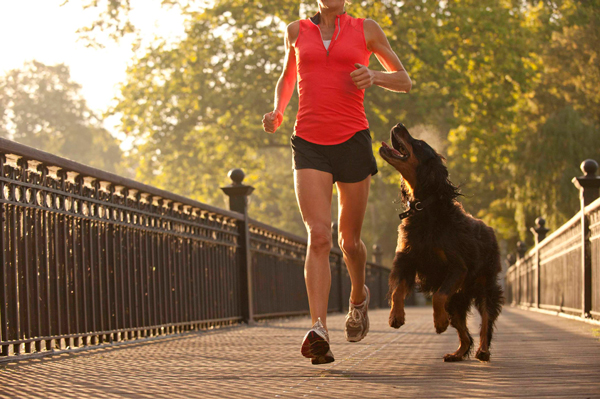 Caminhar e correr com o melhor amigo: alm de prazeroso, faz bem  sade. Foto: Reproduo