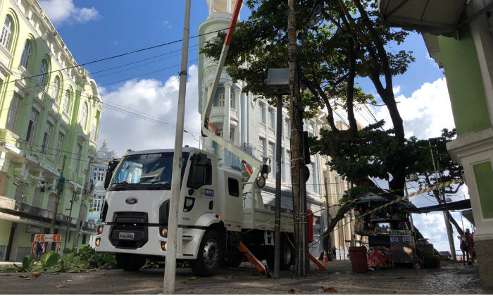 Emlurb refora a manuteno da arborizao no Recife. Foto: Samuel Calado/Esp DP