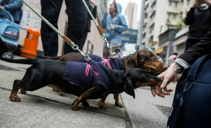 Foto:  ISAAC LAWRENCE/AFP (Foto:  ISAAC LAWRENCE/AFP)