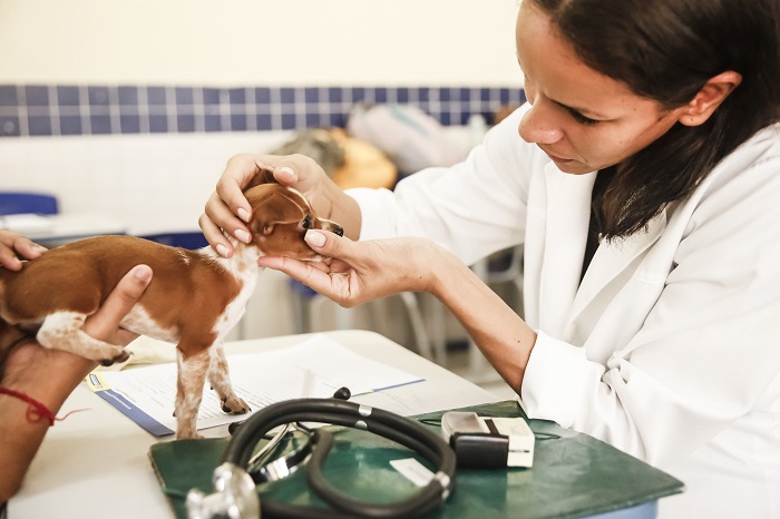 Desde 2014, quando o projeto teve incio, j foram realizadas mais de seis mil consultas.Foto: Andra Rgo Barros/PCR/Arquivo  (Desde 2014, quando o projeto teve incio, j foram realizadas mais de seis mil consultas.Foto: Andra Rgo Barros/PCR/Arquivo )