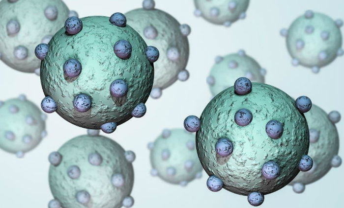 Os dois tipos são considerados de uma complexidade genética jamais encontrada em qualquer outro. Foto: Internet/ Reprodução (Foto: Internet/ Reprodução) Os dois tipos são considerados de uma complexidade genética jamais encontrada em qualquer outro. Foto: Internet/ Reprodução (Foto: Internet/ Reprodução)