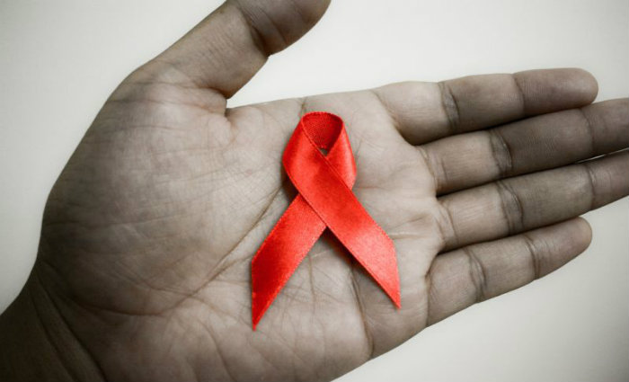 Os pesquisadores pretendem analisar melhor a relação da proteína com o HIV para que a informação possa ser usada no combate à Aids. Foto: Pixabay (Foto: Pixabay) Os pesquisadores pretendem analisar melhor a relação da proteína com o HIV para que a informação possa ser usada no combate à Aids. Foto: Pixabay (Foto: Pixabay)