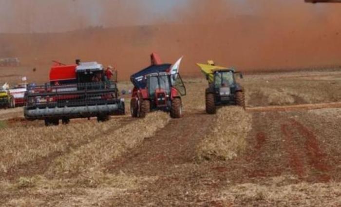 Safra de cereais, leguminosas e oleaginosas deve fechar 2018 com 227,2 milhes de toneladas contra 240,6 milhes do ano passado. Foto: Arquivo/Agncia Brasil 