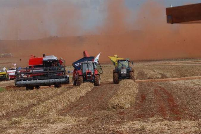 Safra de cereais, leguminosas e oleaginosas deve fechar 2018 com 227,2 milhes de toneladas contra 240,6 milhes do ano passado. Foto: Arquivo/Agncia Brasil