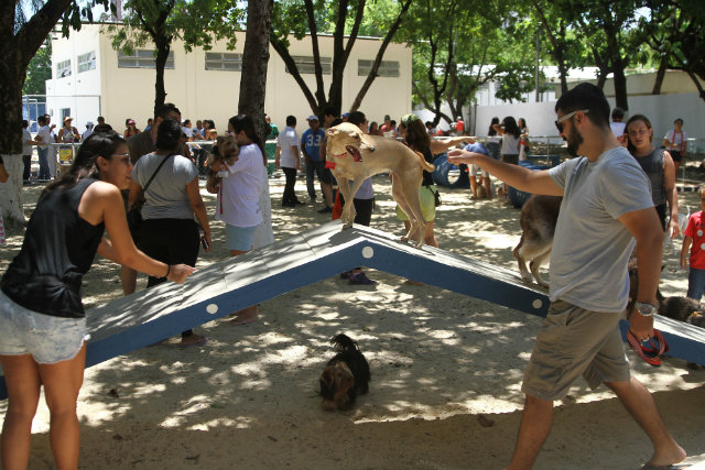 Inaugurao do Parco do Santos Dumont atraiu um grande nmero de pets. Foto: Julio Jacobina/DP