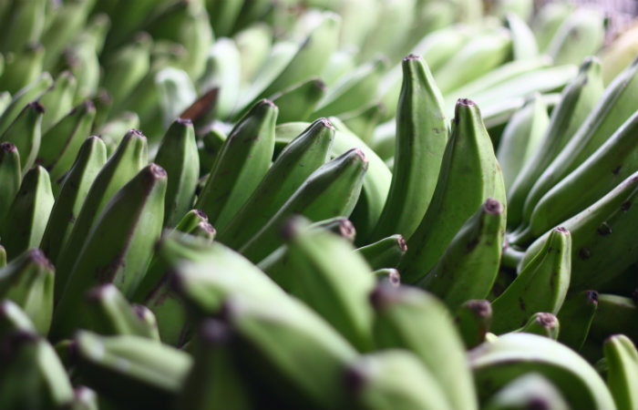 A Ceasa-PE já registra uma baixa na oferta de bananas pelos comerciantes atacadistas. Foto: Arquivo/DP