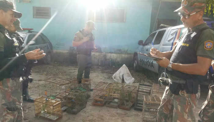 Aves foram entregues ao CETA/CPRH e sero soltas na natureza (PMPE)