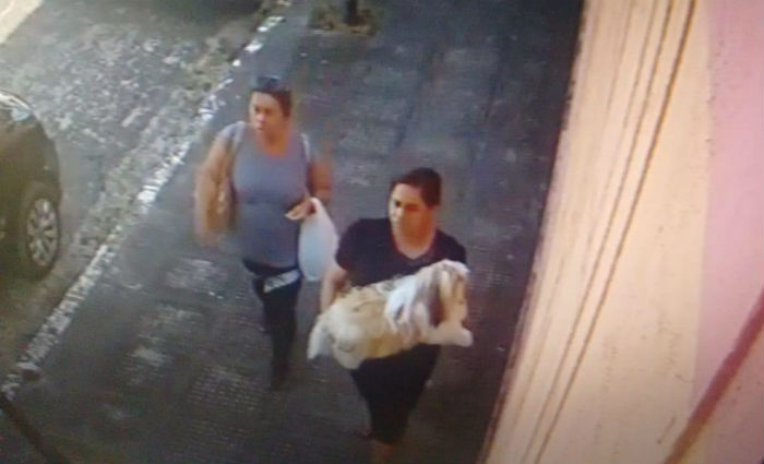 Cmeras de segurana filmaram duas mulheres caminhando com o animal nos braos. Foto: Divulgacao