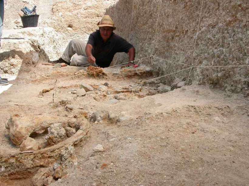 O sítio Ain Boucherit tem indícios de primeiras tecnologias usadas pelos hominídeos para se alimentar: ossos e pedras bem preservados. Foto: Mohamed Sahnouni/Divulgação