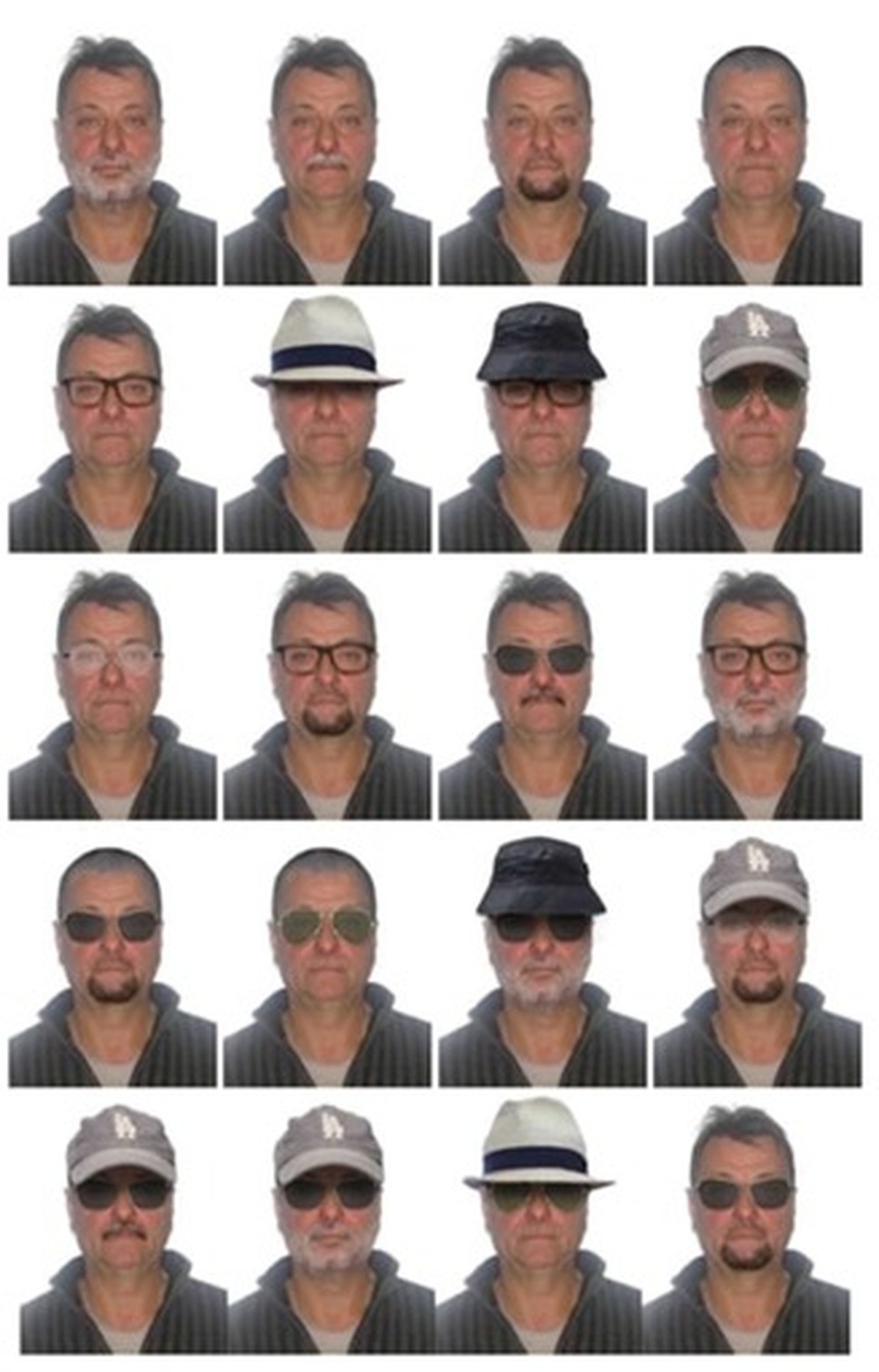 20 simulaes de imagens sobre disfarces, mostrando como poder estar a aparncia de Cesare Battisti. Foto: Divulgao/Polcia Federal