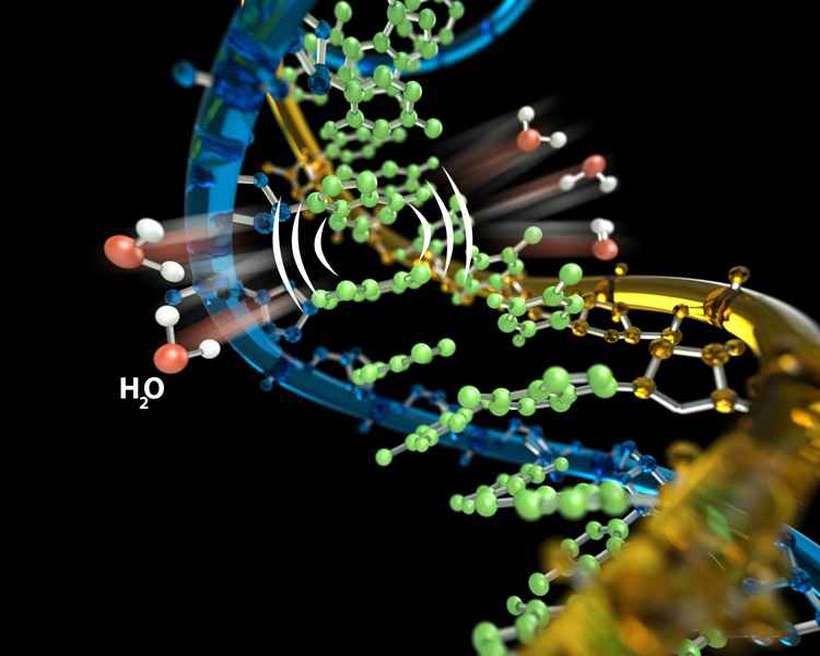 Molécula de DNA. Foto: UCSB/Divulgação Ciência