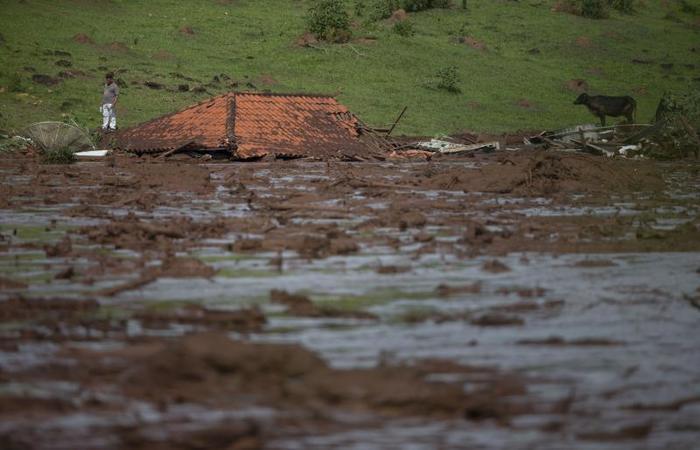 Foto: Mauro Pimental / AFP Foto: Mauro Pimental / AFP