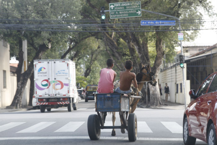 As carroas s podero circular em ruas com menor fluxo de veculos. Foto: Ricardo Fernandes/DP.
