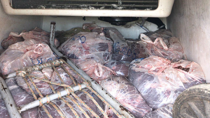 A carne estava sendo transportadas em sacolas plsticas reciclveis e abaixo de material imprprio. Foto: Divulgao/Polcia Rodoviria Federal