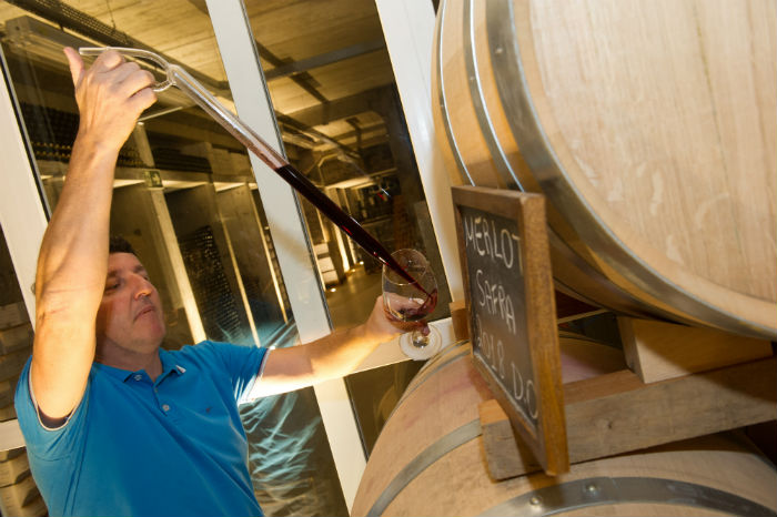 Márcio Brandeli: "Quero ser a Ferrari do vinho brasileiro". Foto: Júlio Soares/cortesia Ibravin/Sebrae Márcio Brandeli: "Quero ser a Ferrari do vinho brasileiro". Foto: Júlio Soares/cortesia Ibravin/Sebrae