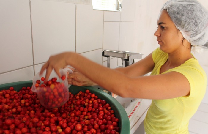 Agricultora Maria Jos beneficia polpa de fruta no stio onde mora. Foto: Roberto Arrais / Divulgao