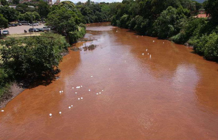 Rejeitos da barragem do Crrego do Feijo atingiram o Rio Paraopeba. Foto: Edesio Ferreira/EM/D.A Press