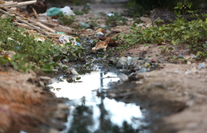 Os surtos têm ligação com as condições precárias de saneamento básico e a frequência de chuvas, que provocam as cheias.
Foto: Hesíodo Góes/ArquivoDP. (Os surtos têm ligação com as condições precárias de saneamento básico e a frequência de chuvas, que provocam as cheias.
Foto: Hesíodo Góes/ArquivoDP.) Os surtos têm ligação com as condições precárias de saneamento básico e a frequência de chuvas, que provocam as cheias.
Foto: Hesíodo Góes/ArquivoDP. (Os surtos têm ligação com as condições precárias de saneamento básico e a frequência de chuvas, que provocam as cheias.
Foto: Hesíodo Góes/ArquivoDP.)