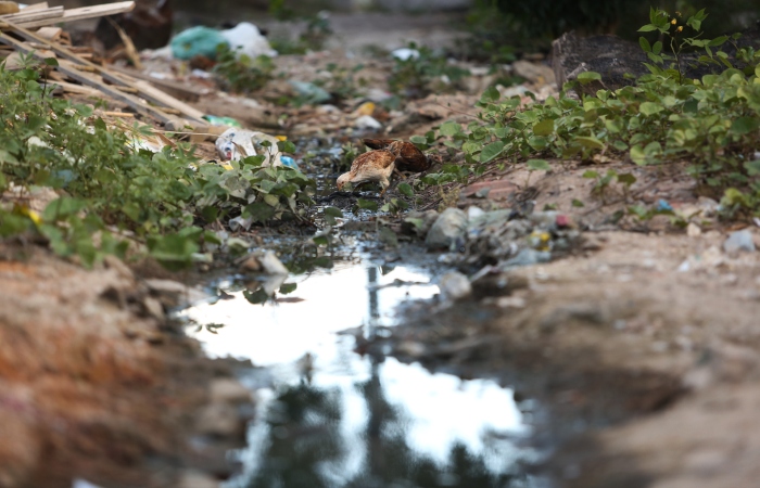 Os surtos tm ligao com as condies precrias de saneamento bsico e a frequncia de chuvas, que provocam as cheias.
Foto: Hesodo Ges/ArquivoDP. (Os surtos tm ligao com as condies precrias de saneamento bsico e a frequncia de chuvas, que provocam as cheias.
Foto: Hesodo Ges/ArquivoDP.)