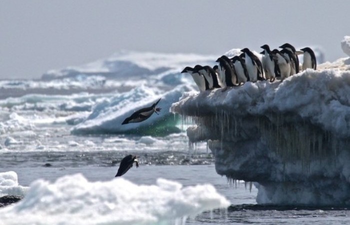 Foto: AFP PHOTO / Rachael Herman/Stony Brook University/ Louisiana State University