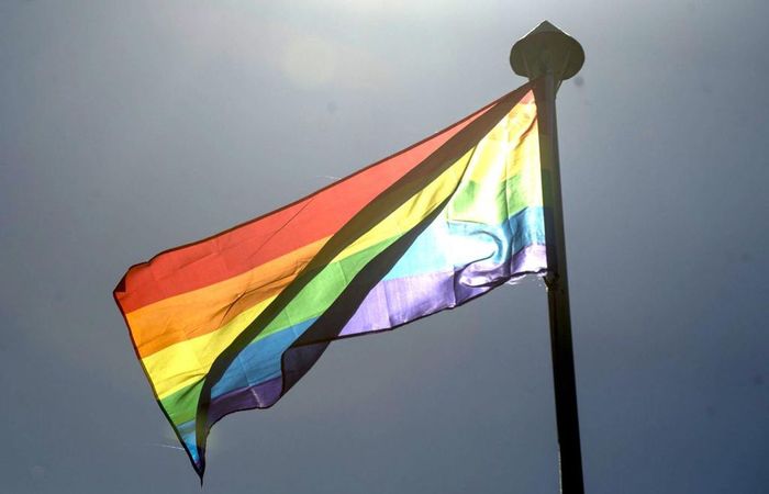 Movimentos sociais e a criminalização da LGBTFOBIA no Brasil