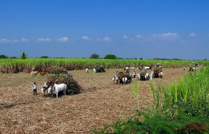 Resultado de imagem para Plano de R$ 1 bilhão para o Nordeste em construção