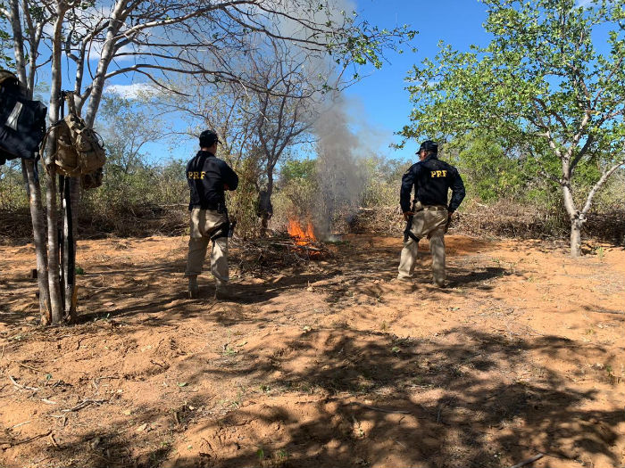 Foto: PRF/Divulgação.