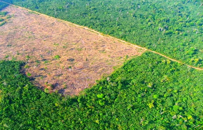 20% dos alertas não validados está no bioma amazônia. Foto: Reprodução/Ibama
(Foto: Reprodução/Ibama
) 20% dos alertas não validados está no bioma amazônia. Foto: Reprodução/Ibama
(Foto: Reprodução/Ibama
)