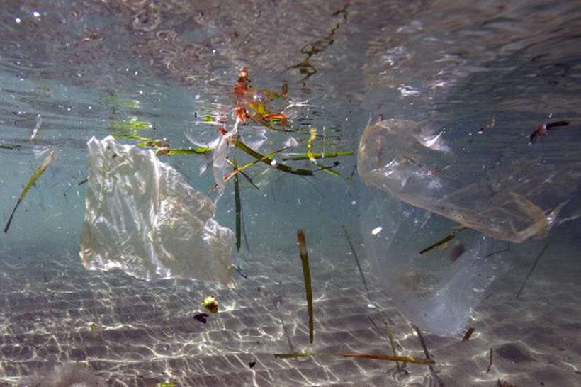 FOTO: Boris Horvat/AFP (FOTO: Boris Horvat/AFP) FOTO: Boris Horvat/AFP (FOTO: Boris Horvat/AFP)
