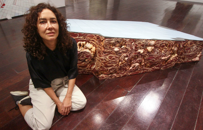 Adriana Varejão com suas ruínas de charque (Foto: Bruna Costa/DP) Adriana Varejão com suas ruínas de charque (Foto: Bruna Costa/DP)