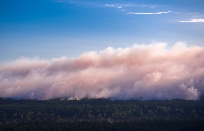 Foto: Jens Bttner/dpa/AFP (Foto: Jens Bttner/dpa/AFP)