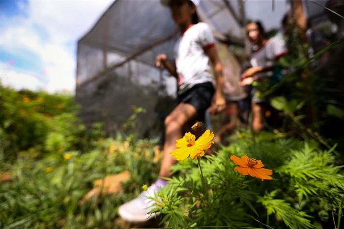 Foto: Marcelo Camargo/Agncia Brasil