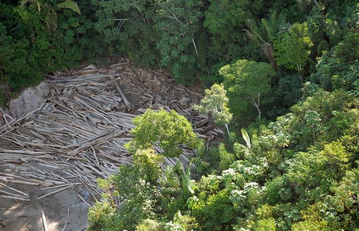 Foto: Arquivo/Agncia Brasil (Foto: Arquivo/Agncia Brasil)