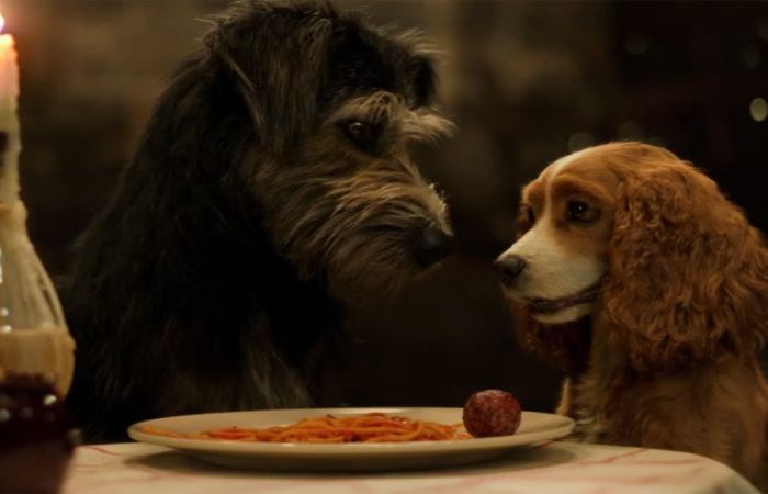 A Dama e o Vagabundo: Cão de nova live-action da Disney escapou da morte em  abrigo