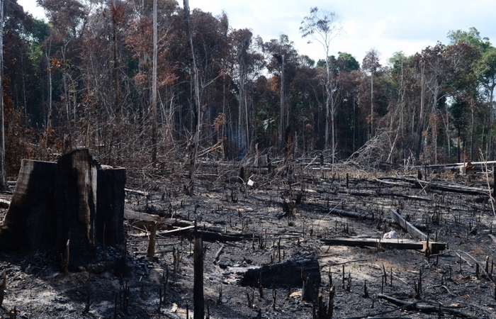 Foto: Arquivo/Agência Brasil (Foto: Arquivo/Agência Brasil) Foto: Arquivo/Agência Brasil (Foto: Arquivo/Agência Brasil)
