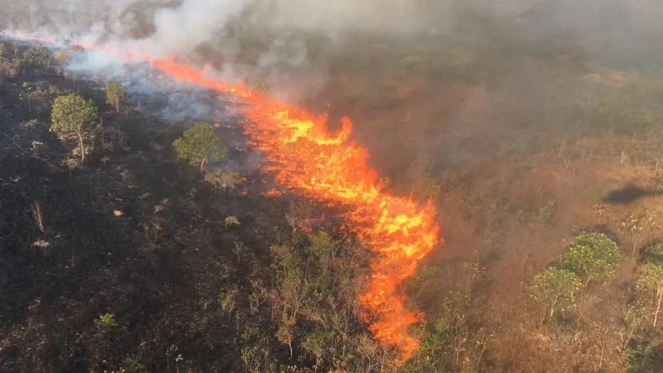 Nesta tera-feira (10), o governador do Mato Grosso, Mauro Mendes (DEM), decretou situao de emergncia no estado devido ao aumento nos incndios florestais - Crditos: Divulgao/Cipaer-MT.