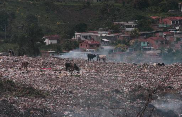 Lixo de Camaragibe - Alcione Ferreira/Acervo DP