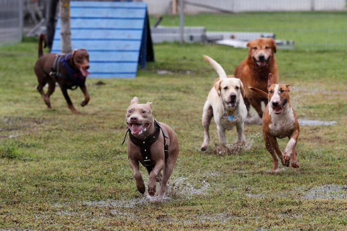 Outros quatro espaços já funcionam no Recife. Foto: Ricardo Fernandes/DP Outros quatro espaços já funcionam no Recife. Foto: Ricardo Fernandes/DP