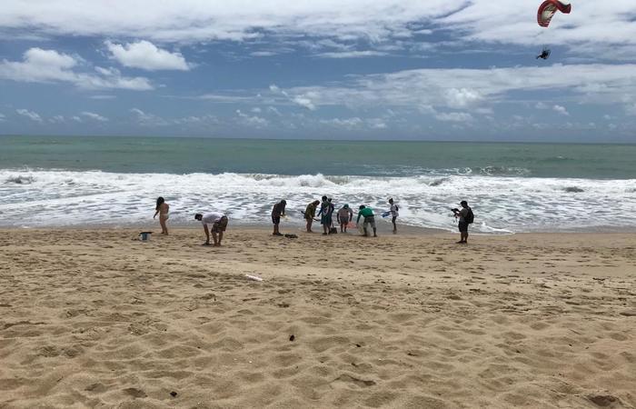 Um grupo de aproximadamente 40 voluntários se reúne, com apoio do Ibama, na praia de Maracaípe para retirar manchas de óleo que chegam à areia - Foto: Marcionila Teixeira/DP