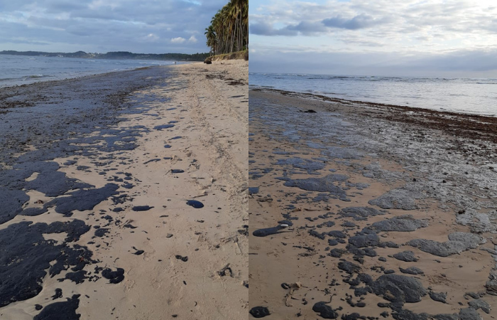 Praia do Paiva amanheceu com mancha de leo na faixa de areia. Crdito: Cortesia