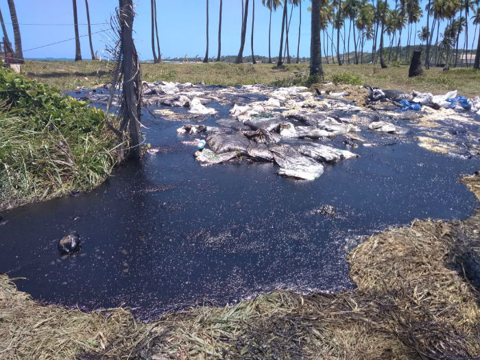 Material removido da areia da Praia do Paiva e levado para a rea de vegetao. Foto: Tnia Passos/DP.