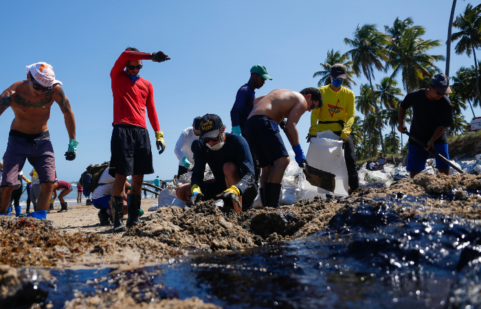 Voluntrios e agentes pblicos se uniram para limpar Praia do Paiva nessa segunda-feira (21) (Foto: Leandro de Santana/Esp. DP.)