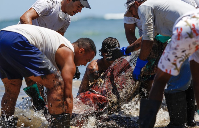Voluntrios se renem para retirada do leo nas praias pernambucanas (Leandro de Santana / Esp.DP FOTO)