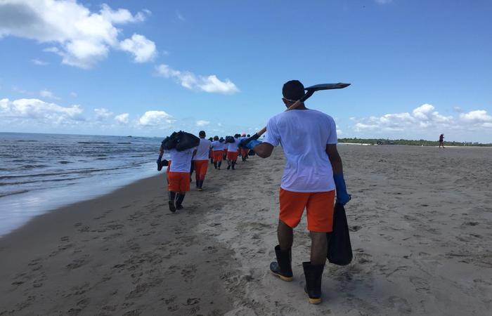 Detentos do semiaberto se voluntariam para retirar manchas de leo da praia.  (Foto: Ana Carolina Guerra/Esp.DP)