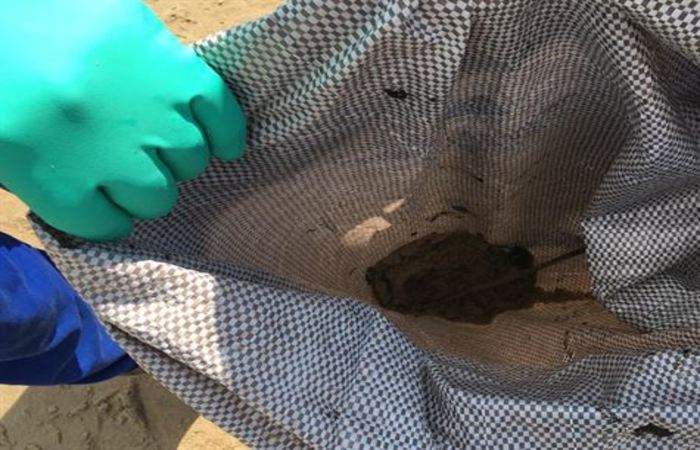 Fragmento de óleo retirado na praia de Candeias, Jaboatão dos Guararapes. ( Foto: Divulgação/Prefeitura de Jaboatão )