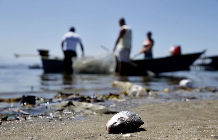 O benefcio garante ao pescador artesanal um salrio mnimo por ms durante o perodo de reproduo das espcies. (Foto: Tnia Rgo/Agncia Brasil)