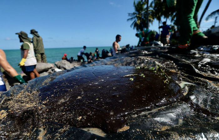 De acordo com o presidente da estatal, a Petrobras est fornecendo material humano, equipamentos e veculos para a limpeza da costa (Foto: Leandro de Santana/Esp.DP.)