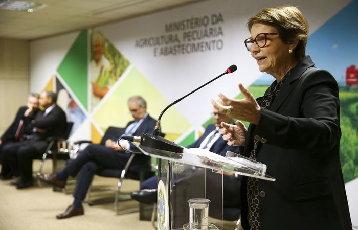  (Foto: Marcelo Camargo/Agncia Brasil )